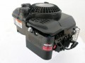 6,75 PS Briggs & Stratton Motor Quantum 22,2/62