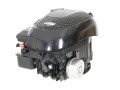 5 PS Briggs & Stratton Motor 500 22,2/80