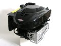 6 PS Briggs & Stratton Motor Quantum 22,2/80