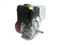 11 PS Briggs & Stratton 11 PS Motor Intek 1-Zyl. OHV horizontal 25,4/80