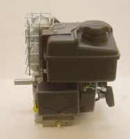 Serie 525 Briggs & Stratton Motor Horizontal 19/61